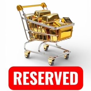 RESERVED YOGITAM - H Rainy Days Sac Faubourg Birkin 20 Gris Misty Permabrass